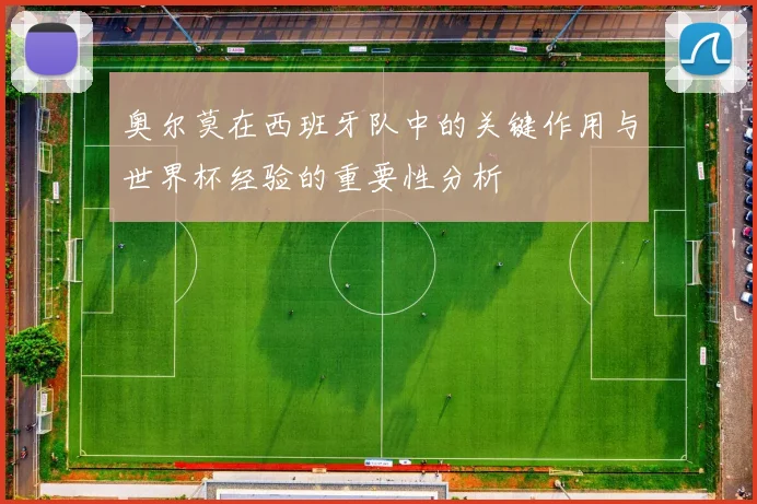 奥尔莫在西班牙队中的关键作用与世界杯经验的重要性分析