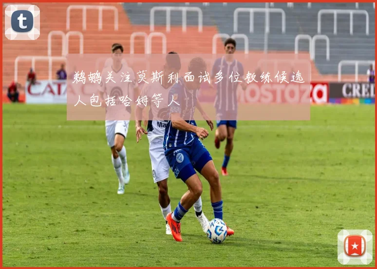 鹈鹕关注莫斯利面试多位教练候选人包括哈姆等人